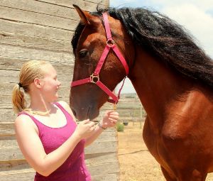 Pferd mit Reitschülerin